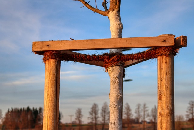 Subsidier Til Innovasjon: Framtidens Muligheter